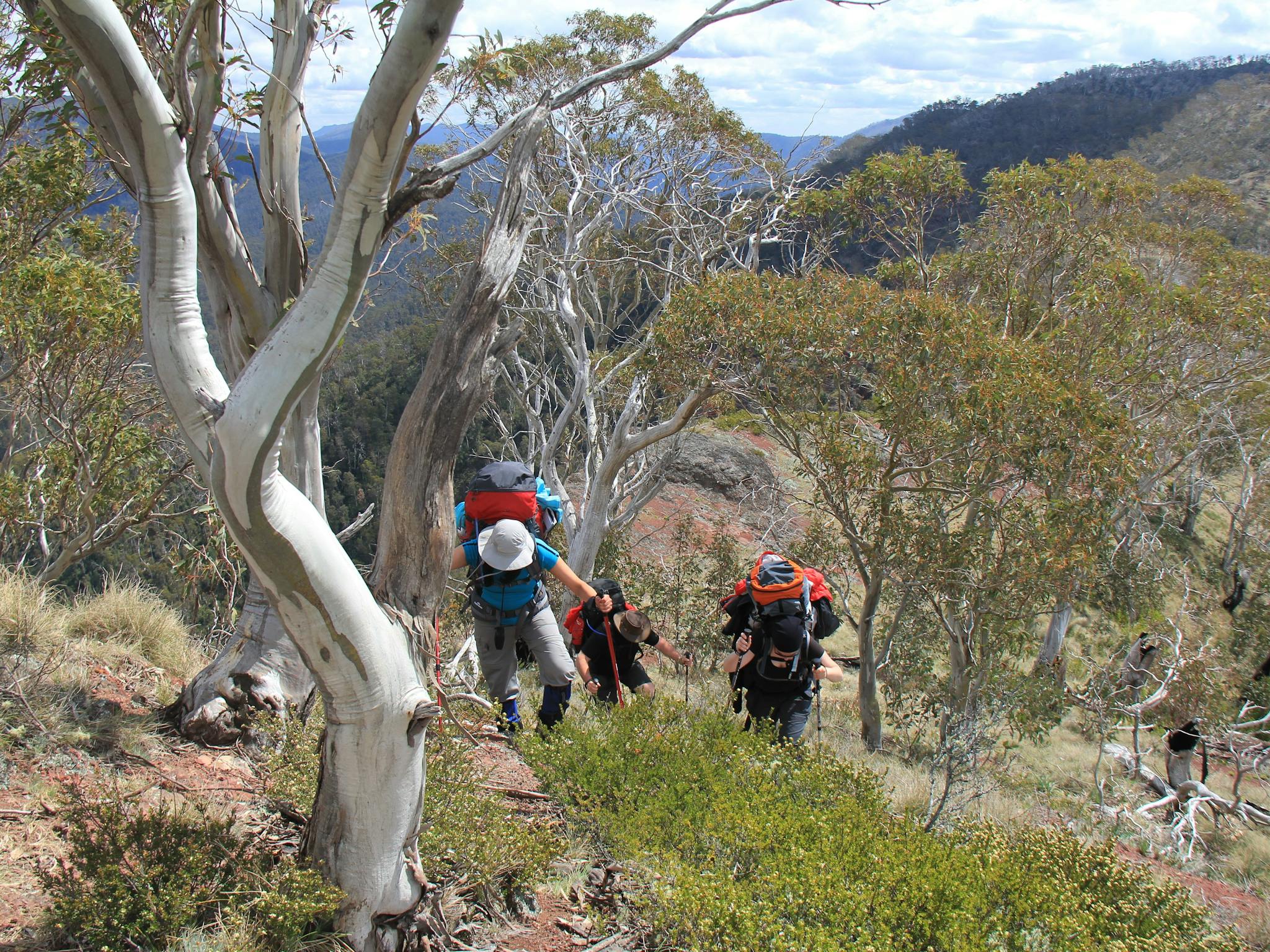 Hikers heading up a steep hill along the Stanleys Name Spur Walking Track.