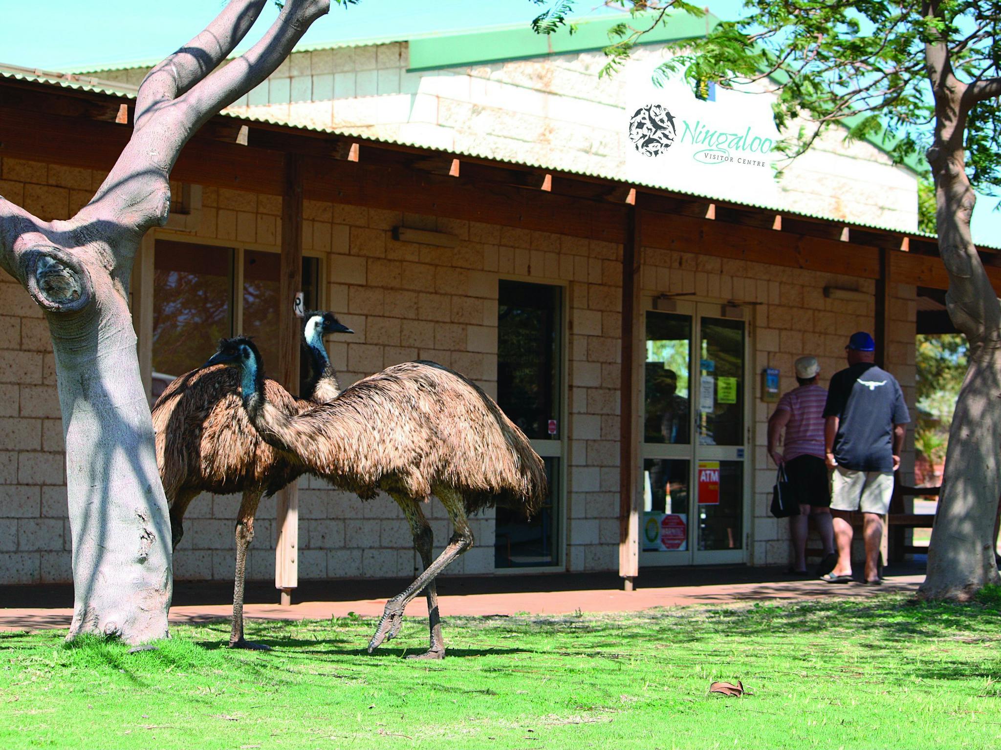 Ningaloo Visitor Centre, Exmouth, Western Australia