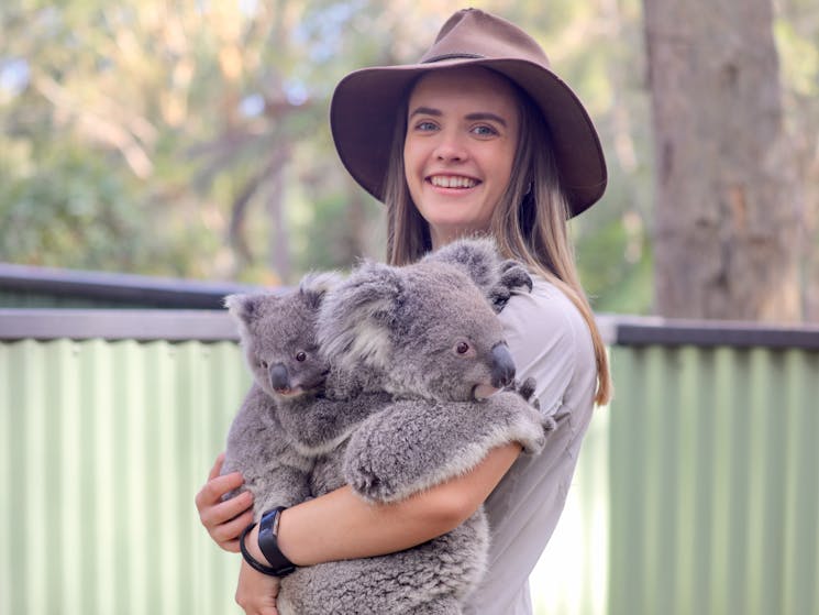 Australian Reptile Park keeper with Koala