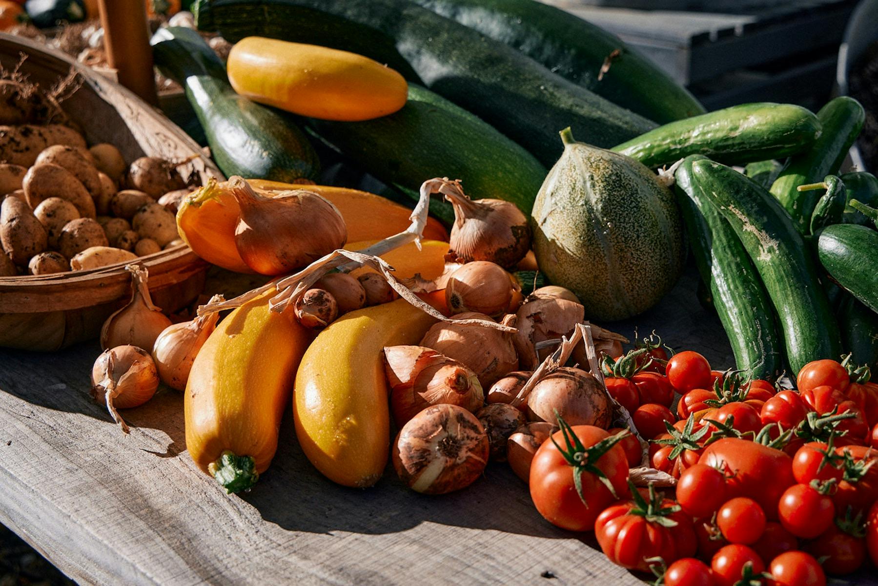 Abundant harvest from Natasha Morgan's productive garden
