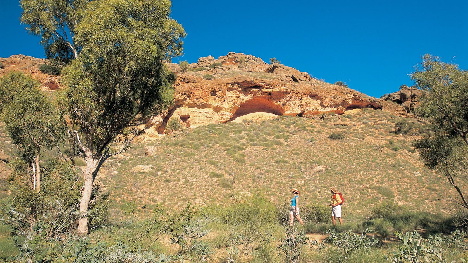 Shothole Canyon