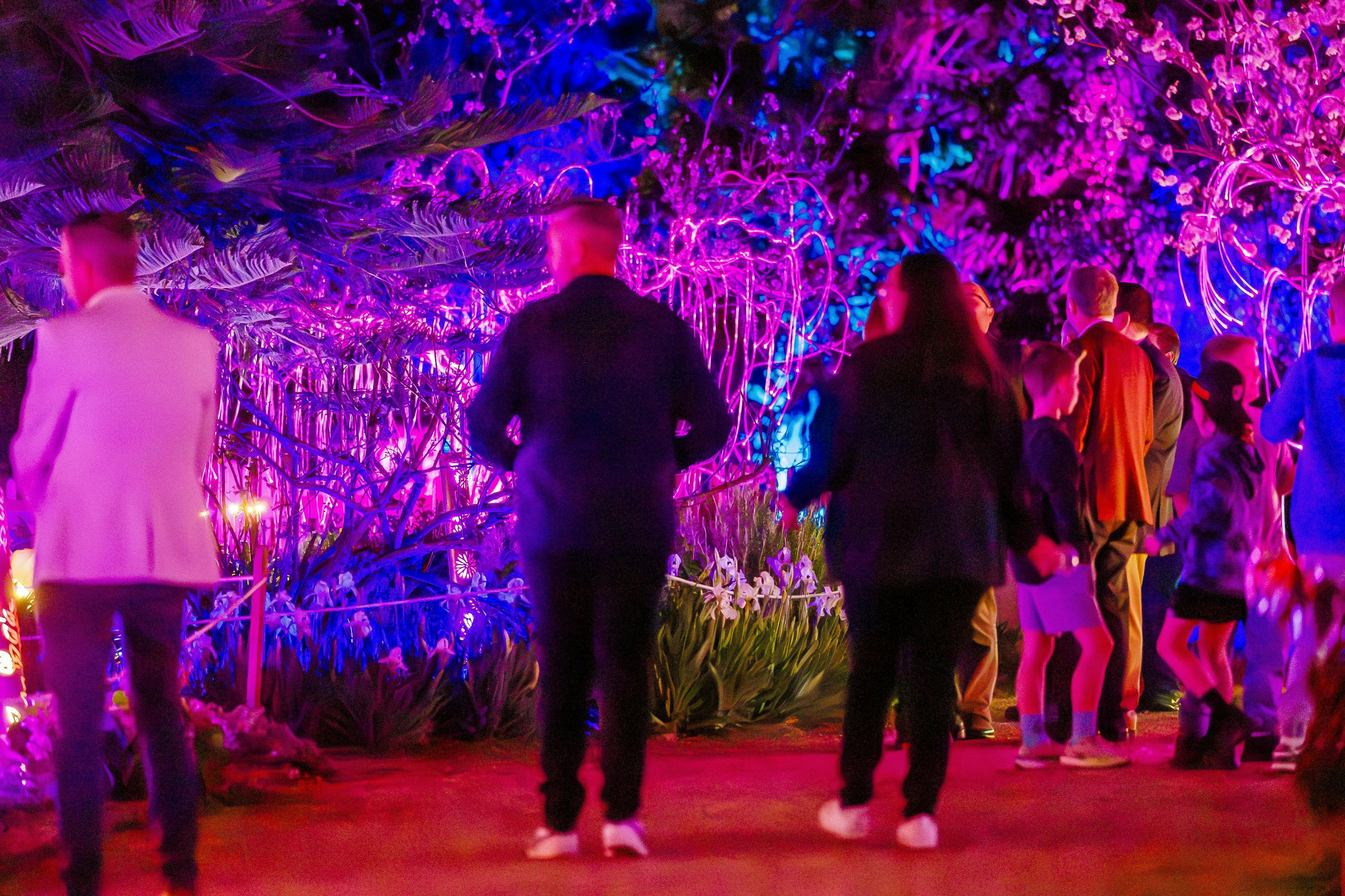 People wander through the illuminated garden