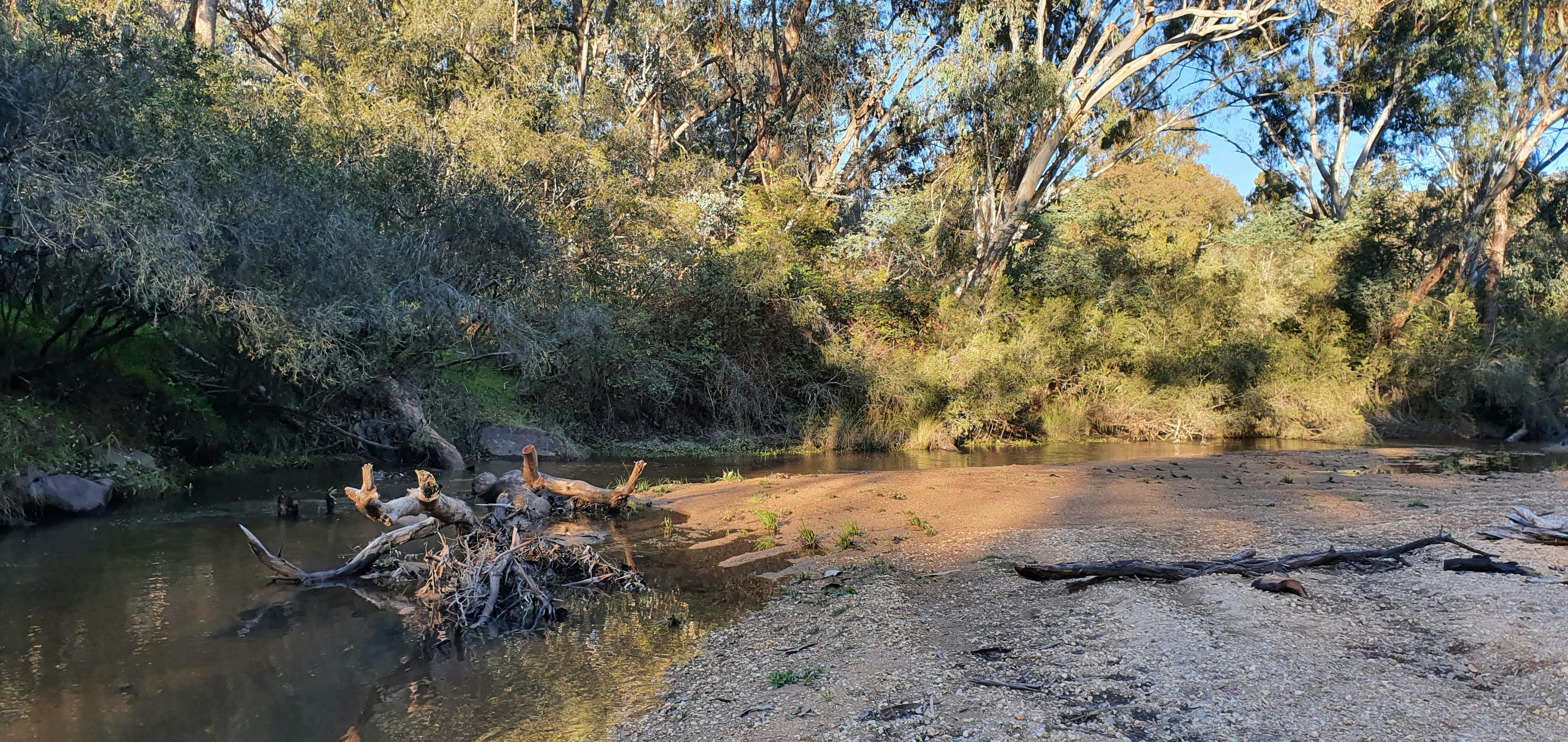 Reedy Creek - Woolshed Valley - Victoria's High Country