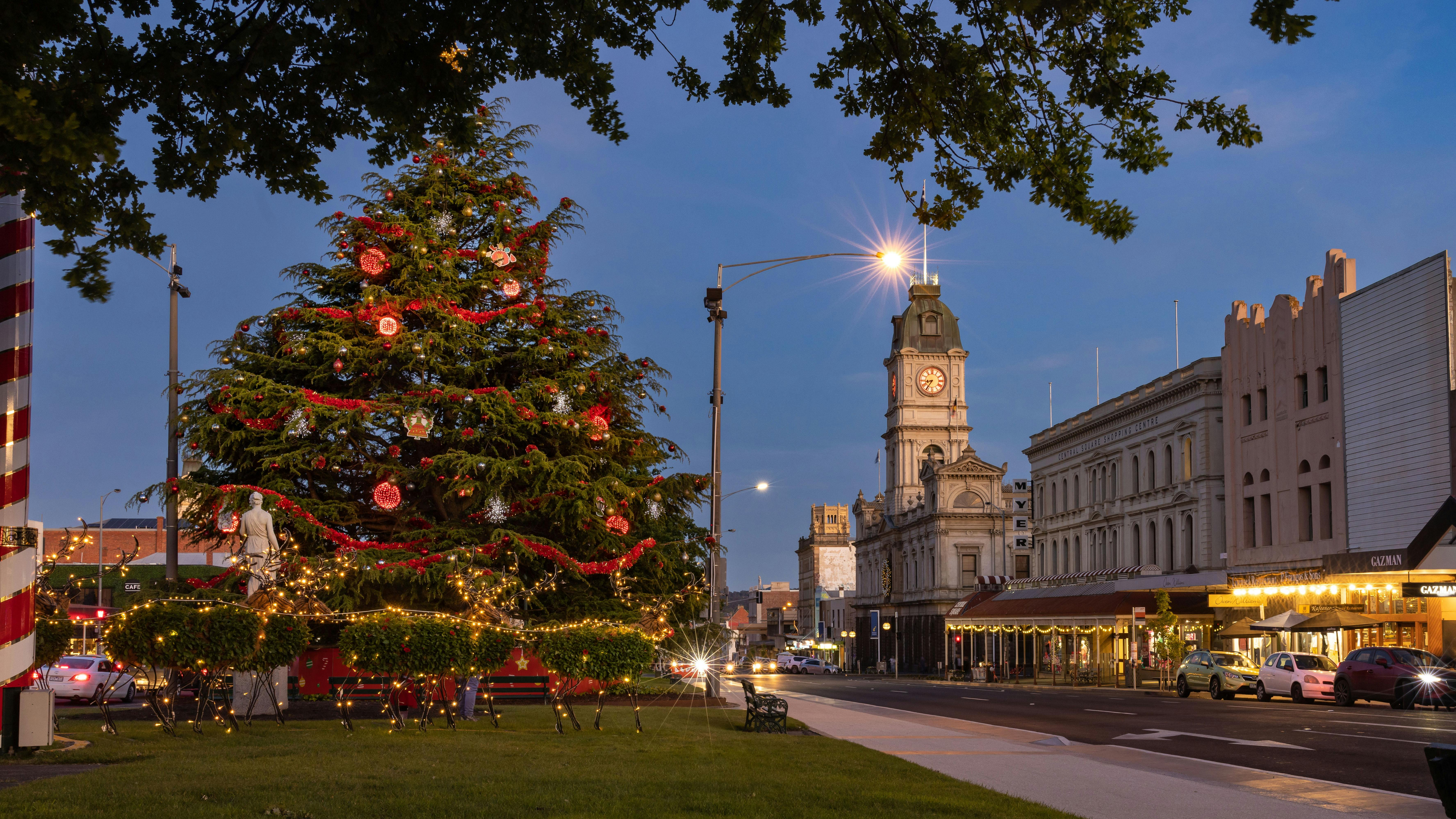 Ballarat's Christmas Tree