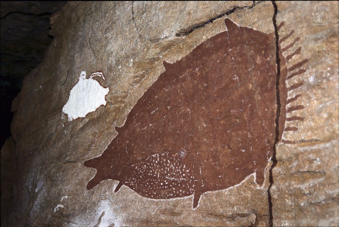 Quinkan Reserves Ancient Rock Art 