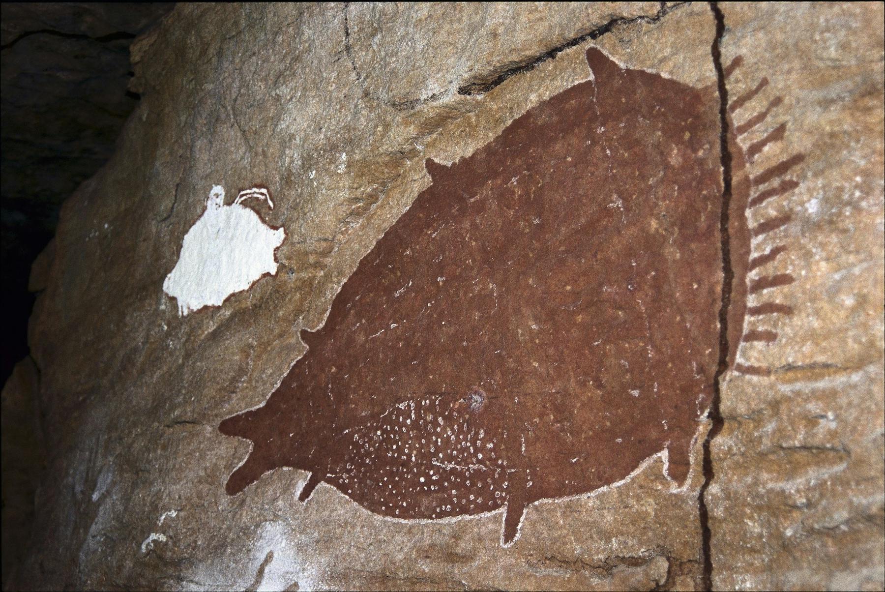 Quinkan Reserves Ancient Rock Art