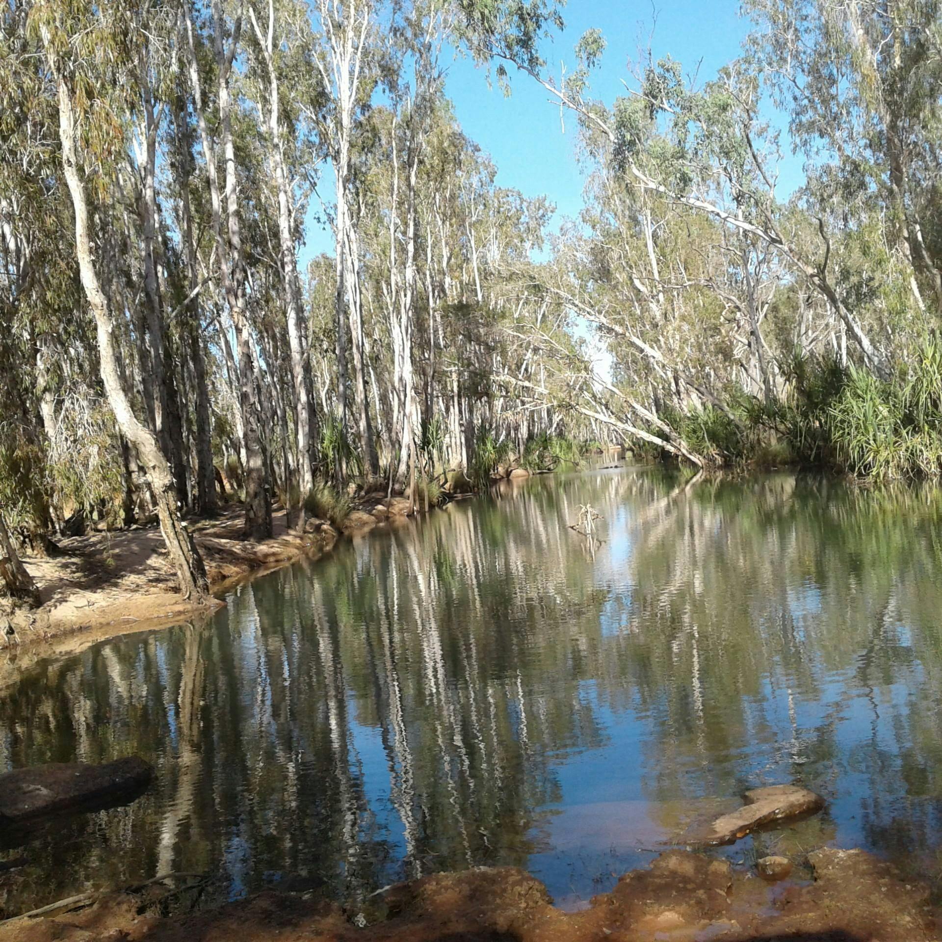 Drysdale river