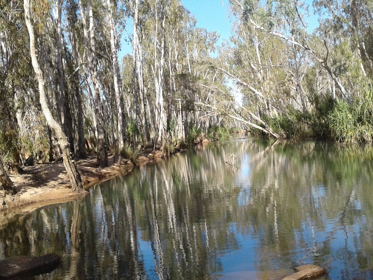 Drysdale river