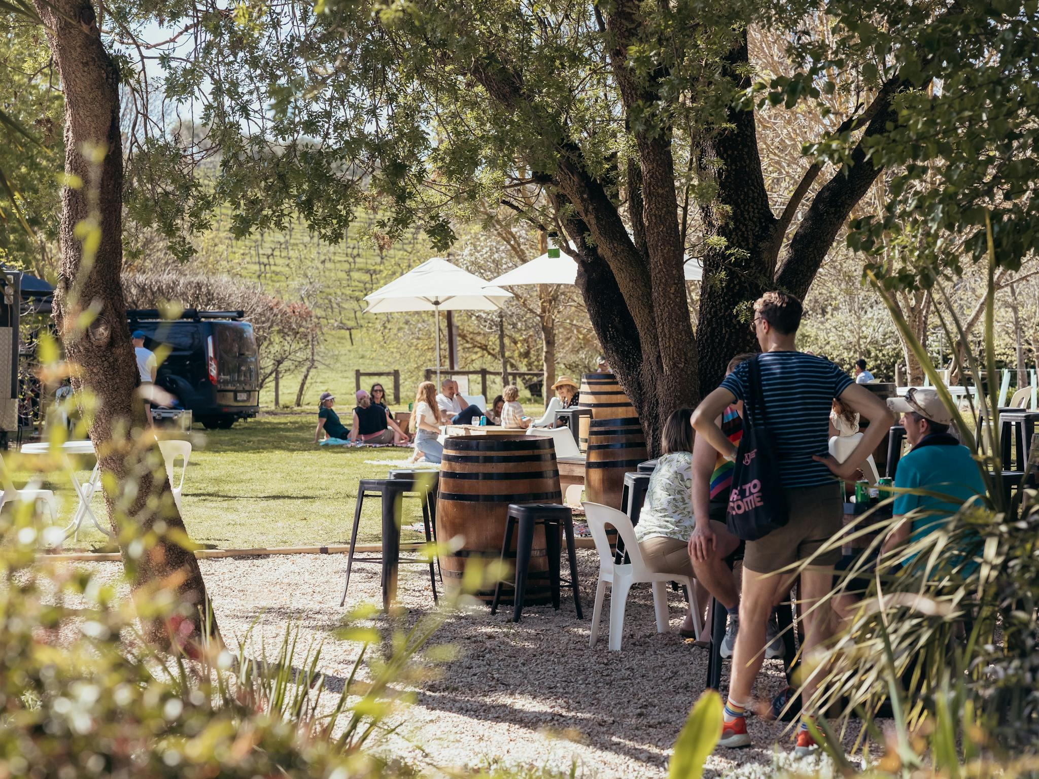 An oasis in the Clare Valley