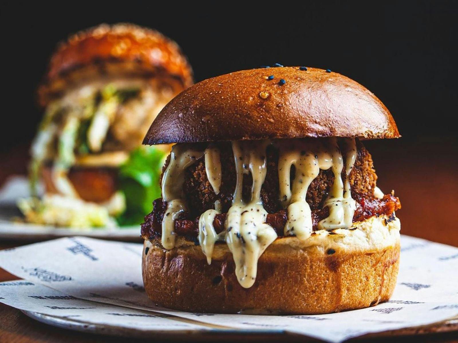 Die Burger-Rebellion