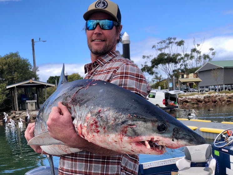 A 45 kilogram Mako caught for Michael onboard Yamba Fishing and Charters