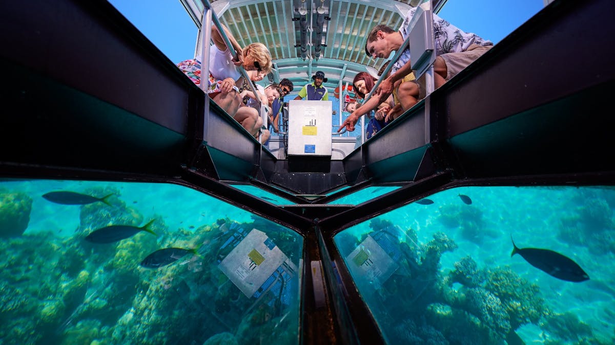Glass Bottom Boat Tour - Big Cat Green Island Reef Cruises