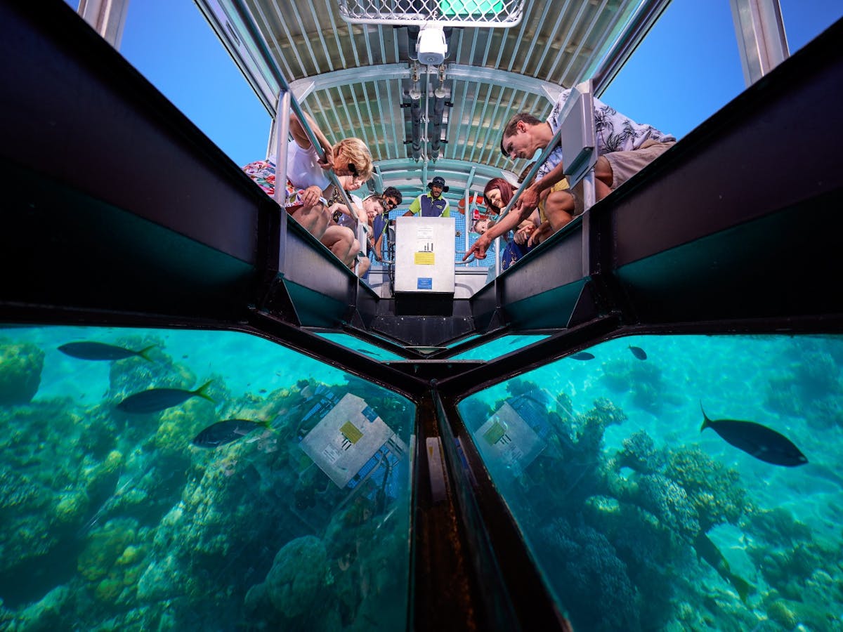 Glass Bottom Boat Tour - Big Cat Green Island Reef Cruises
