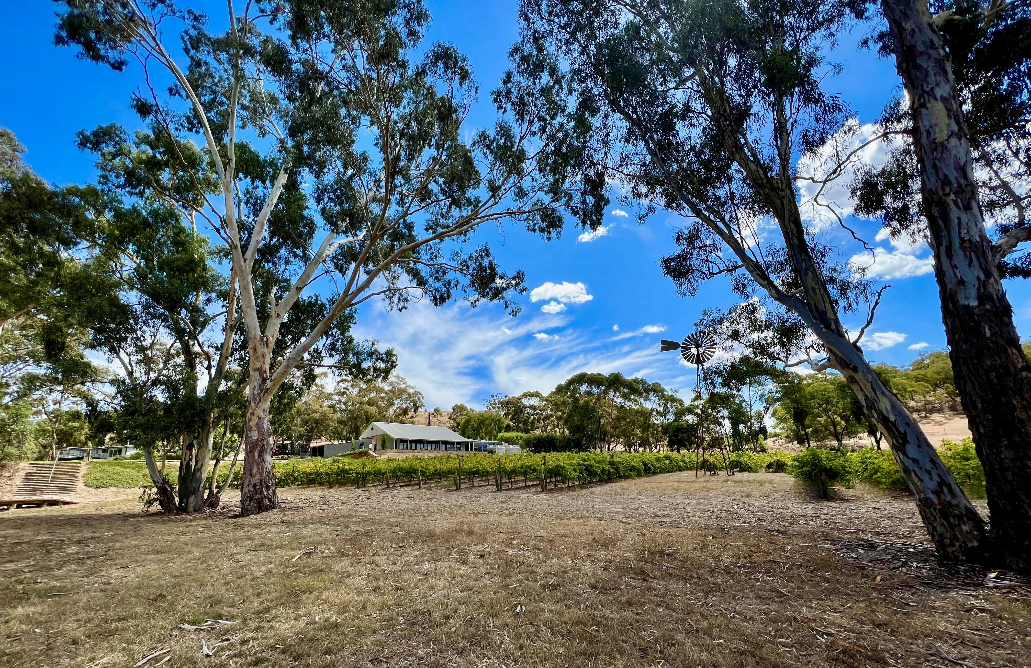 The Nest at The Curly Goose