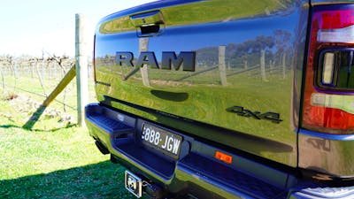 Ram at Winery