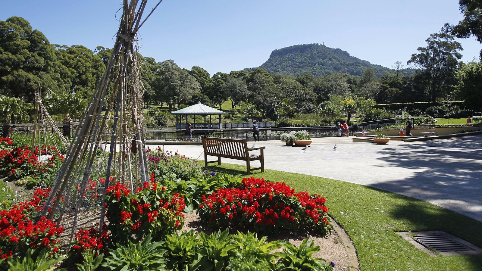 View at the lake in garden