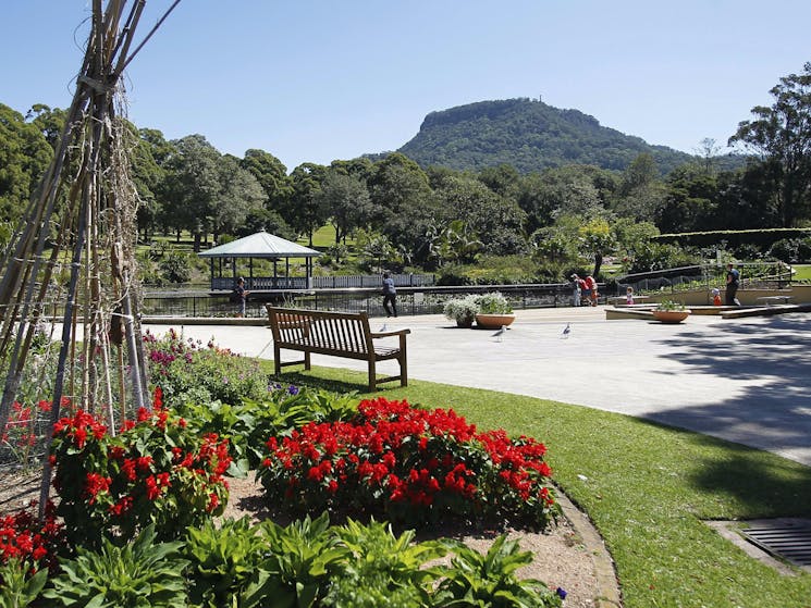 View at the lake in garden