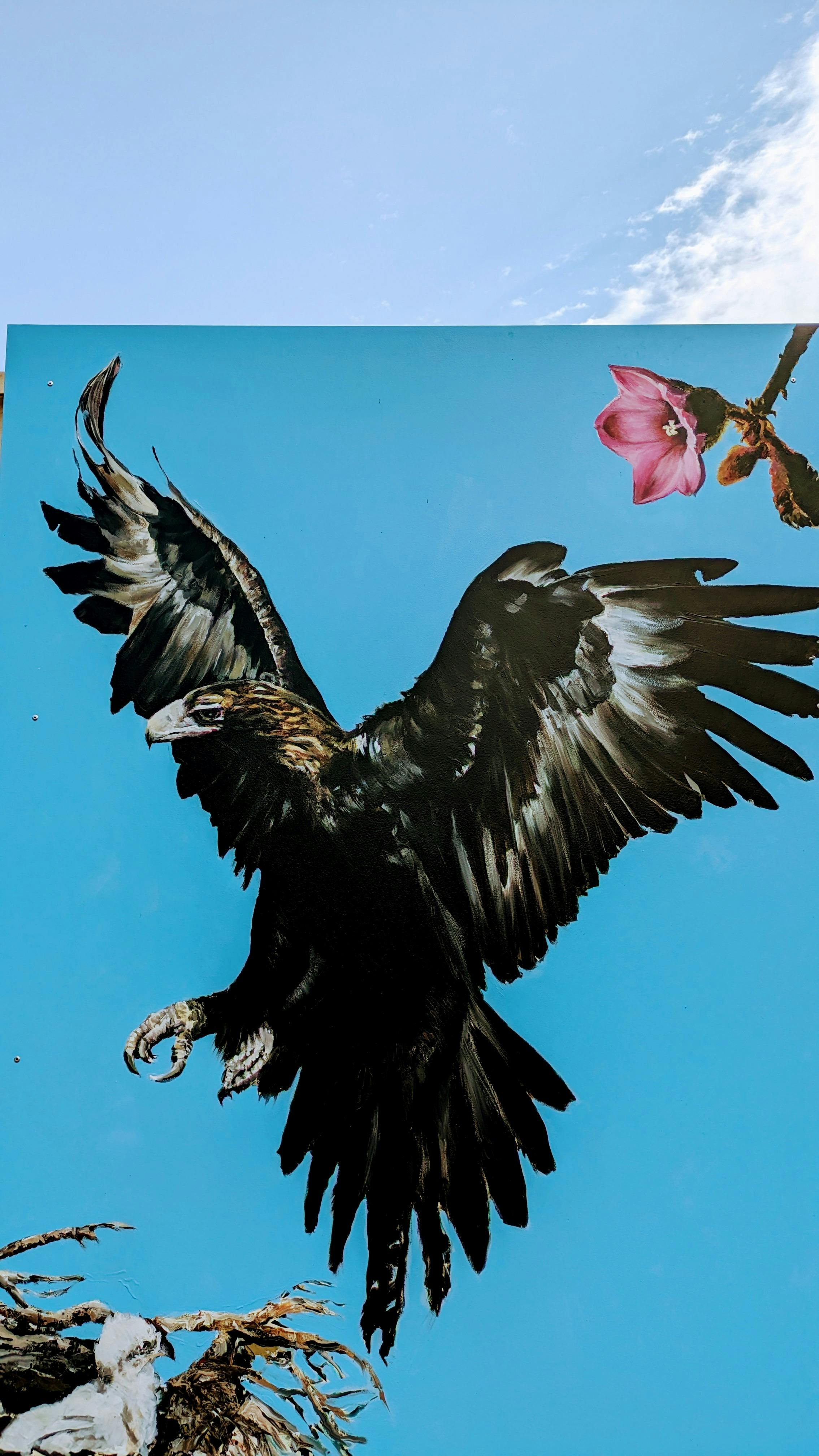 Mural of Wedgetail Eagle at Gresford Arboretum