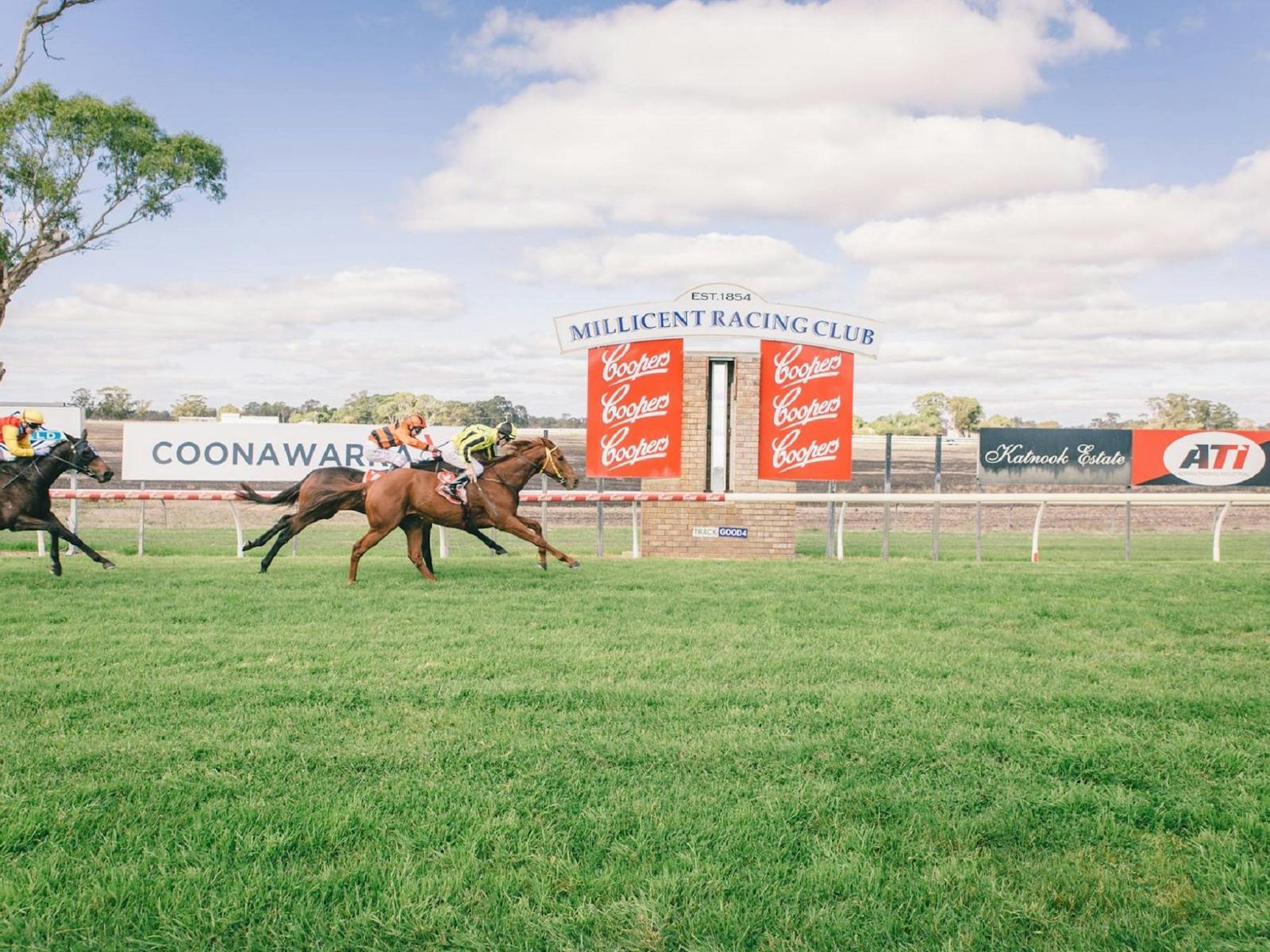Image for Millicent Cup @ the Mount Gambier Race Course