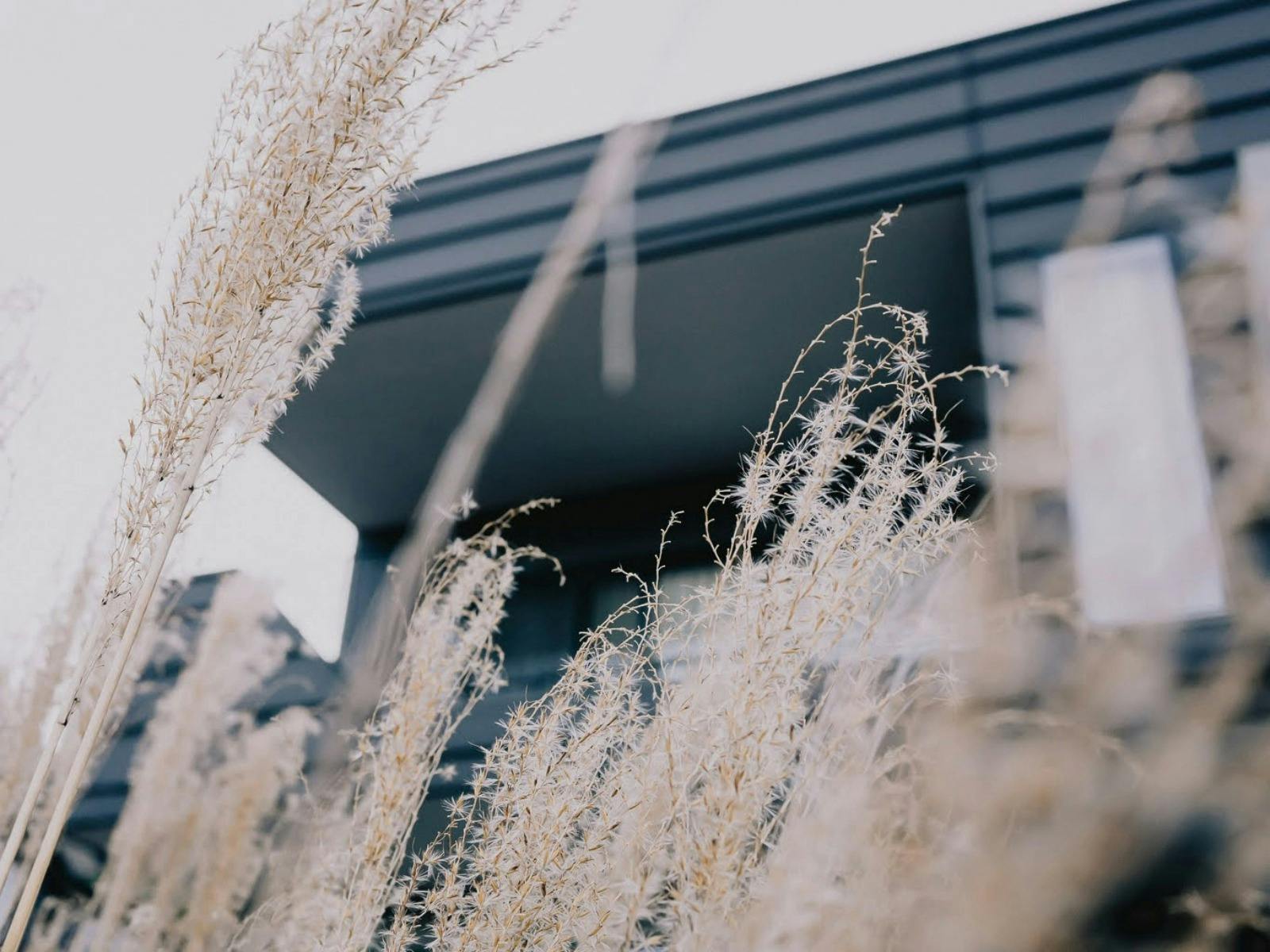 Accommodation Bright