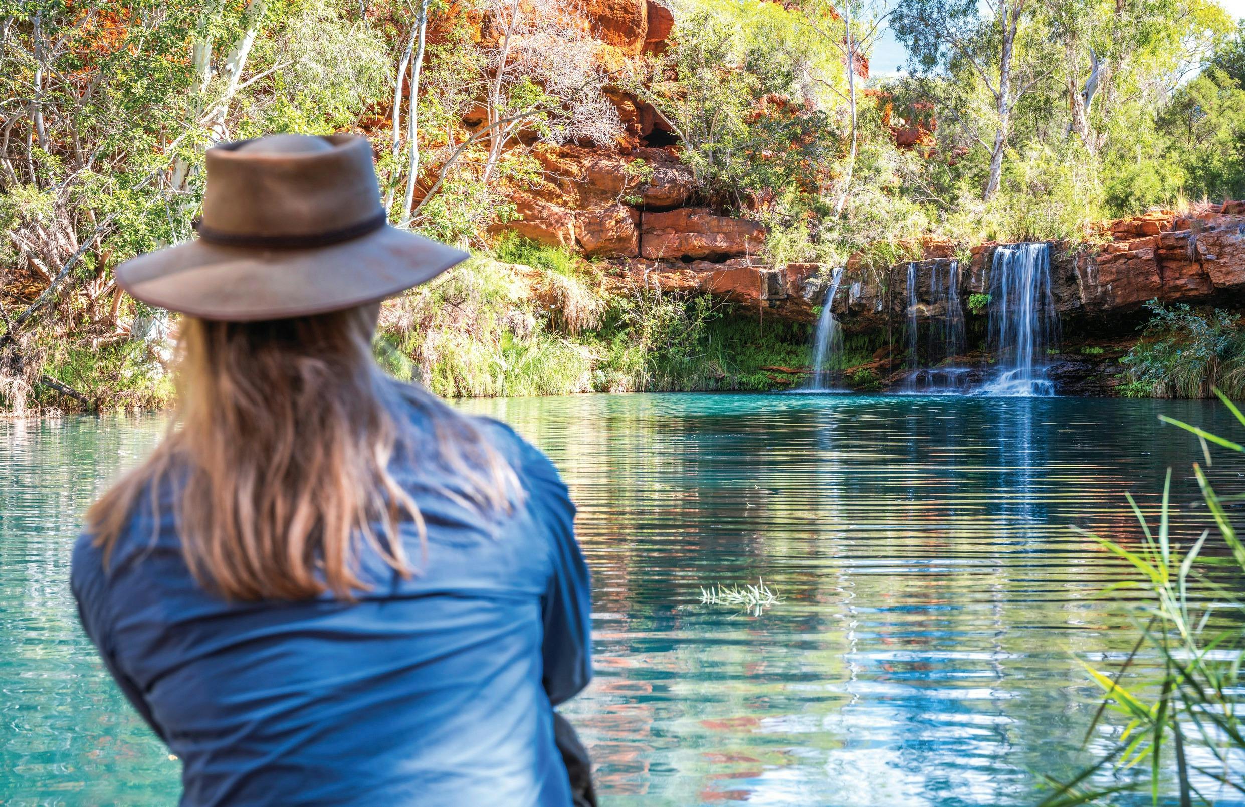 Pilbara Wildflower Trail, Karijini National Park, Western Australia