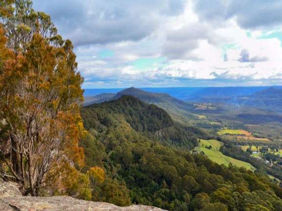 Cambewarra Range Nature Reserve
