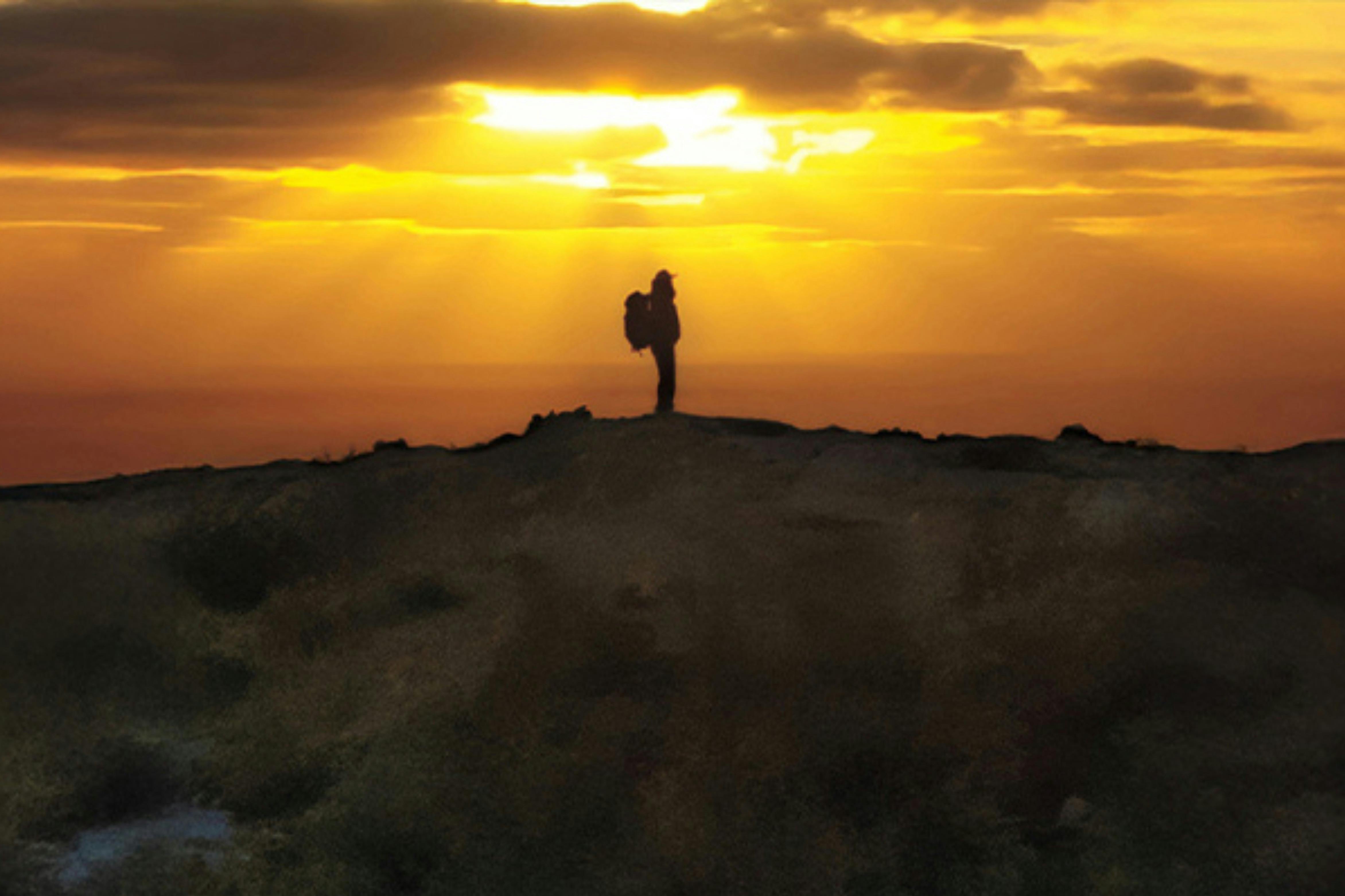 《荒野求生500天》：放映及導演現場問答