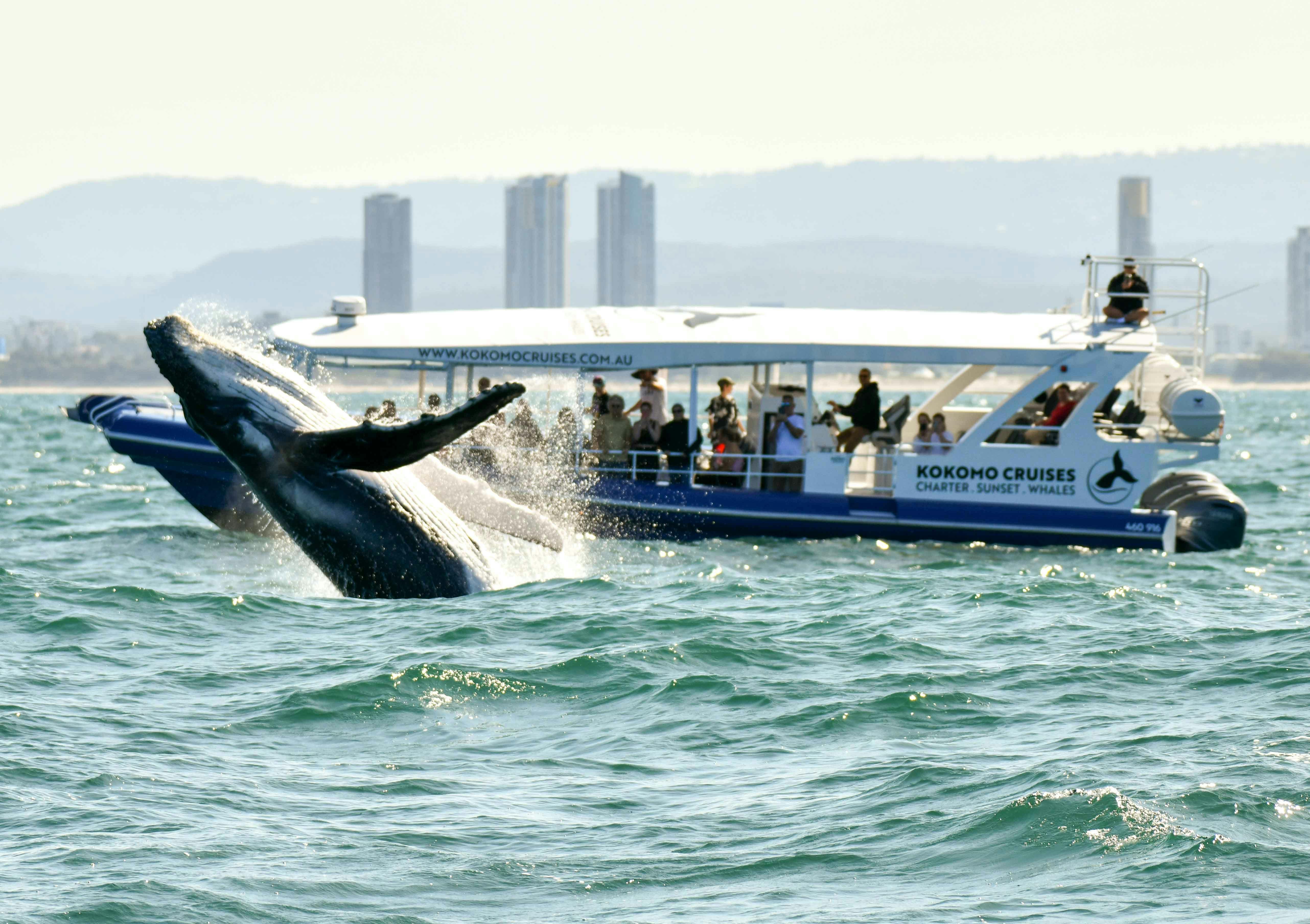 The views from onboard Kokomo Cruises