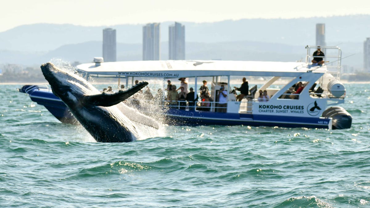 The views from onboard Kokomo Cruises