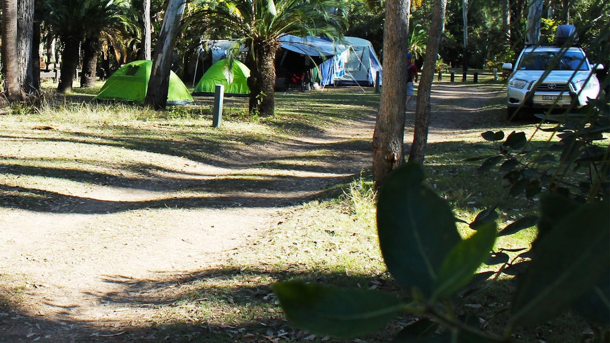 Carnarvon Gorge camping area