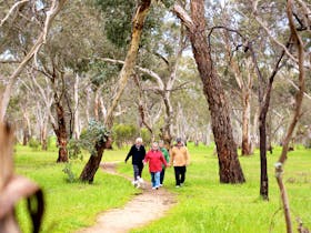 Walking Track - Possum Park