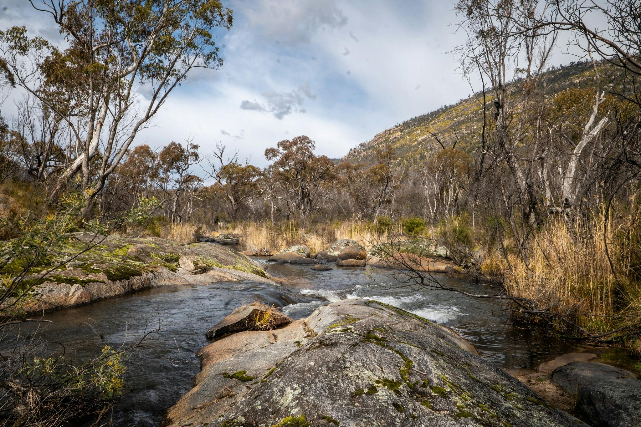 River with bushland in background