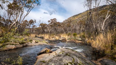 River with bushland in background