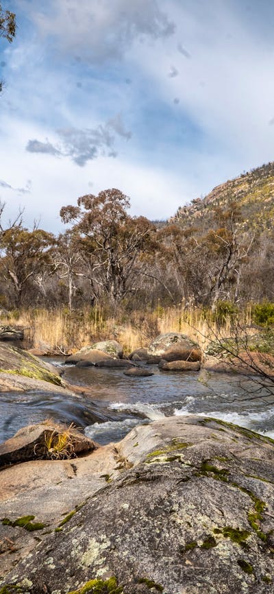 River with bushland in background