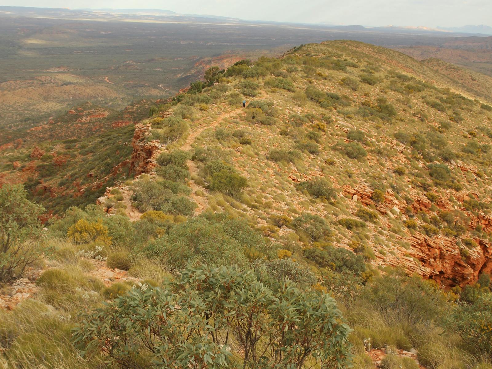 Larapinta Trail by Australian Walking Holidays