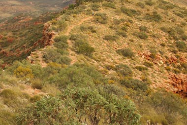 Larapinta Trail by Australian Walking Holidays