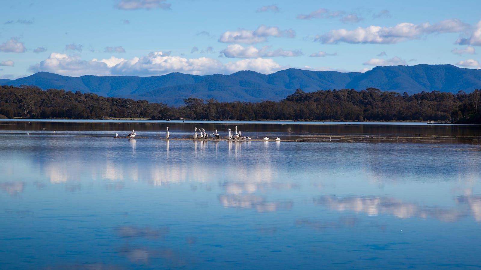 Tuross Lake