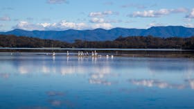 Tuross Lake