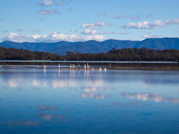 Tuross Lake