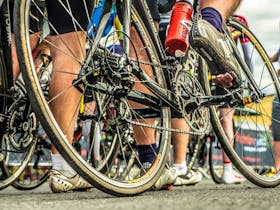 Close-up of bicycle wheels