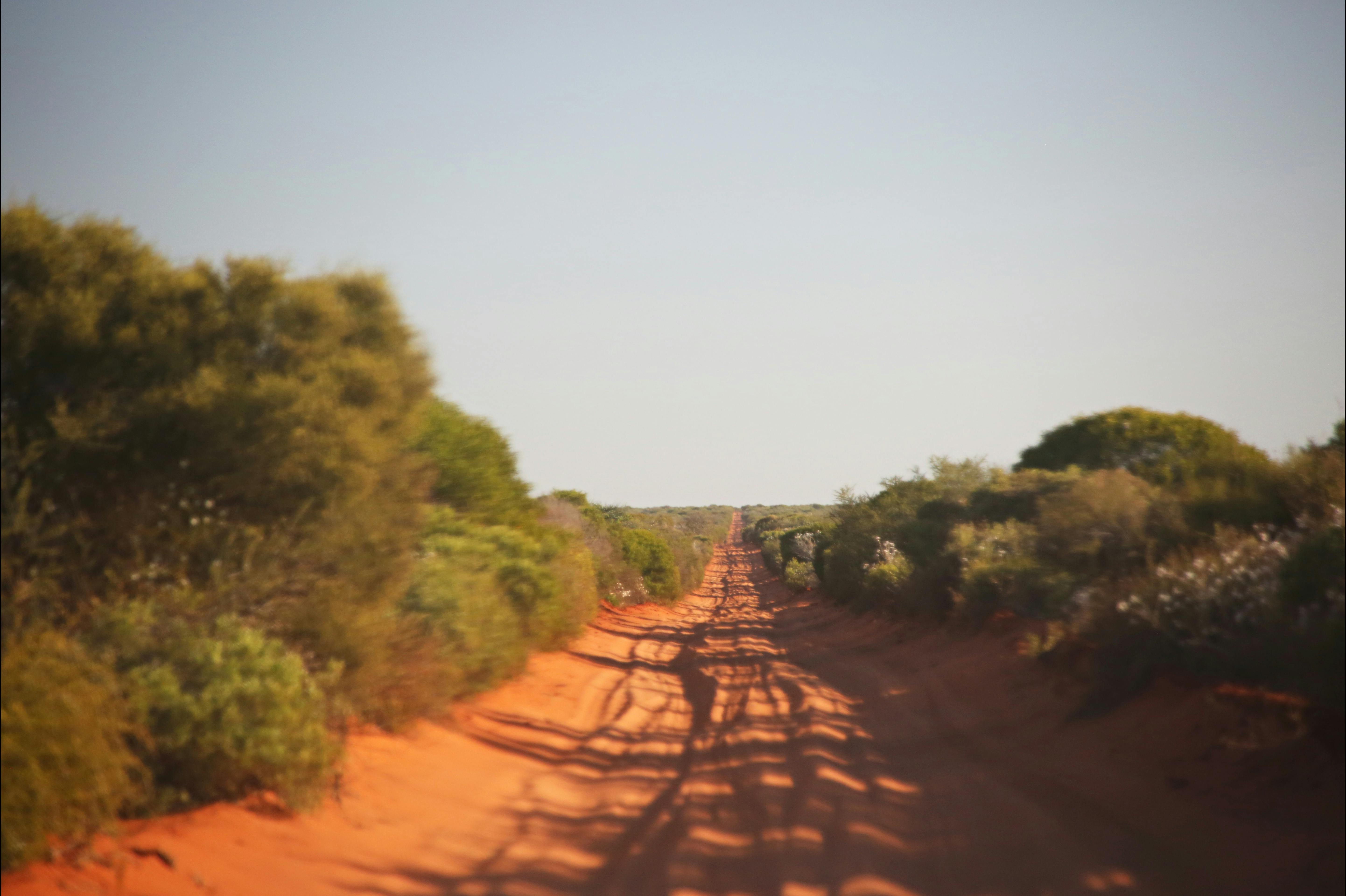 Shark Bay Coastal Tours, Denham, Western Australia