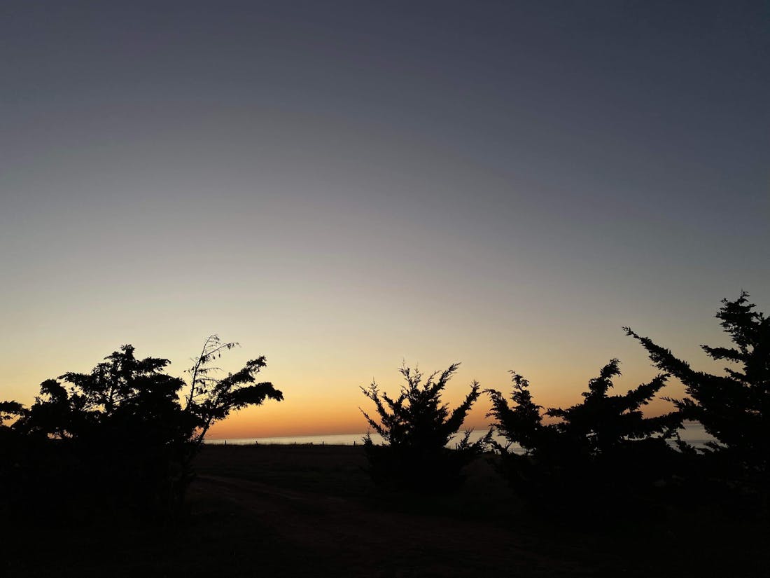 Sweet Olive Cliffside Escape Myponga Beach, S...