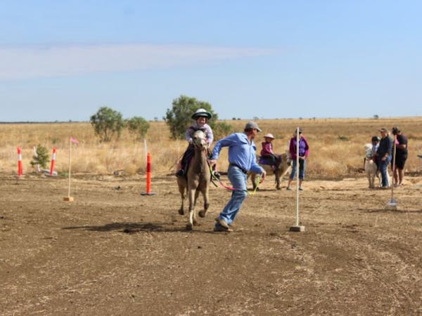 Gymkhana action