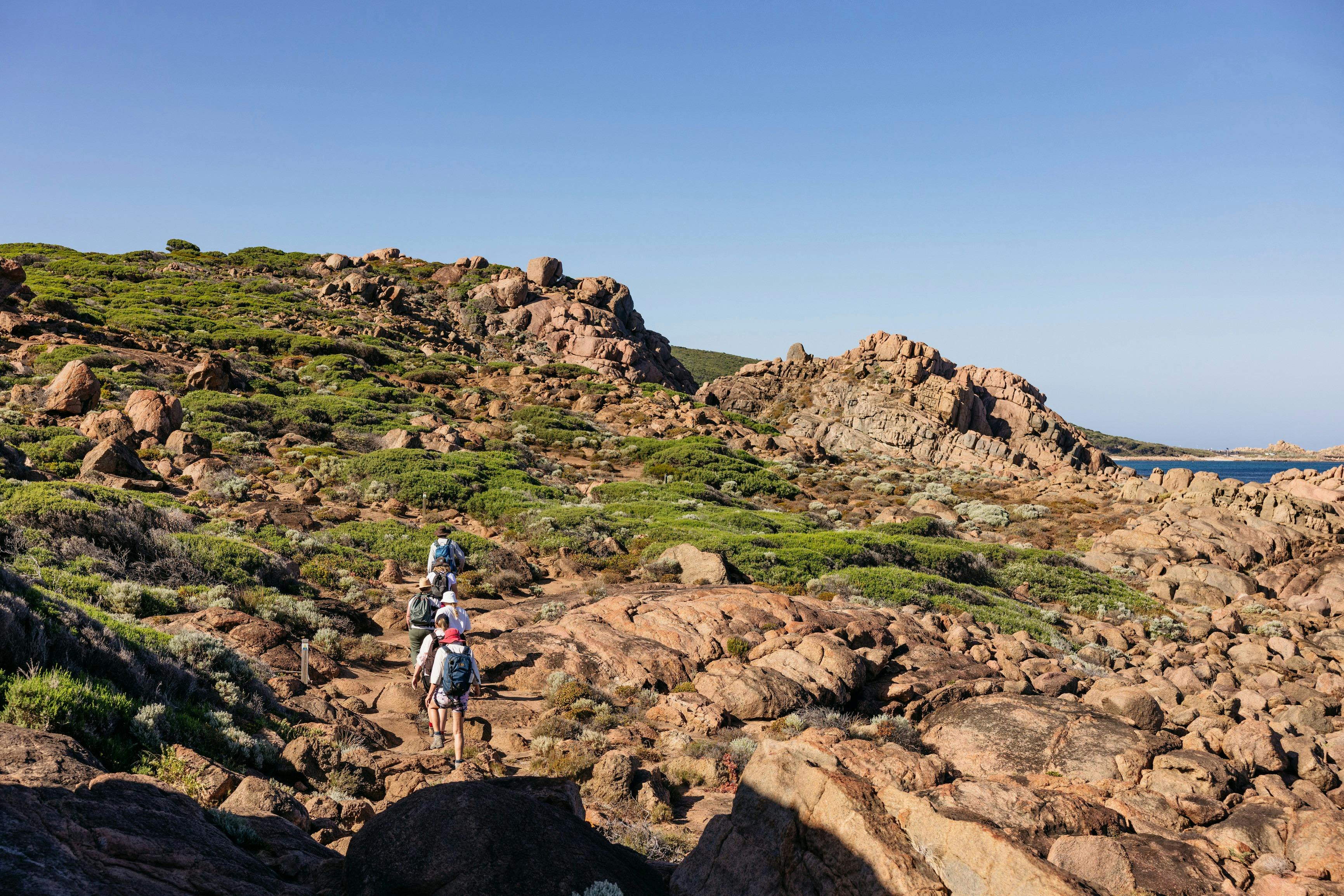 Cape to Cape Explorer Tours