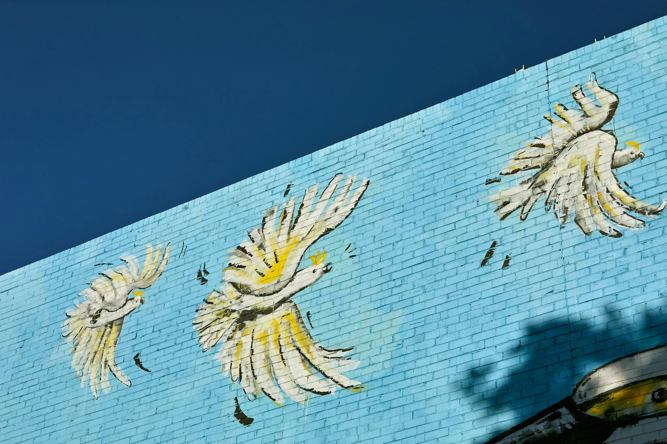 Artwork- Little Egret, 2021. Artist- Chris Henderson (SIRHC). Photographer- Jeremy Weihrauch. 9743