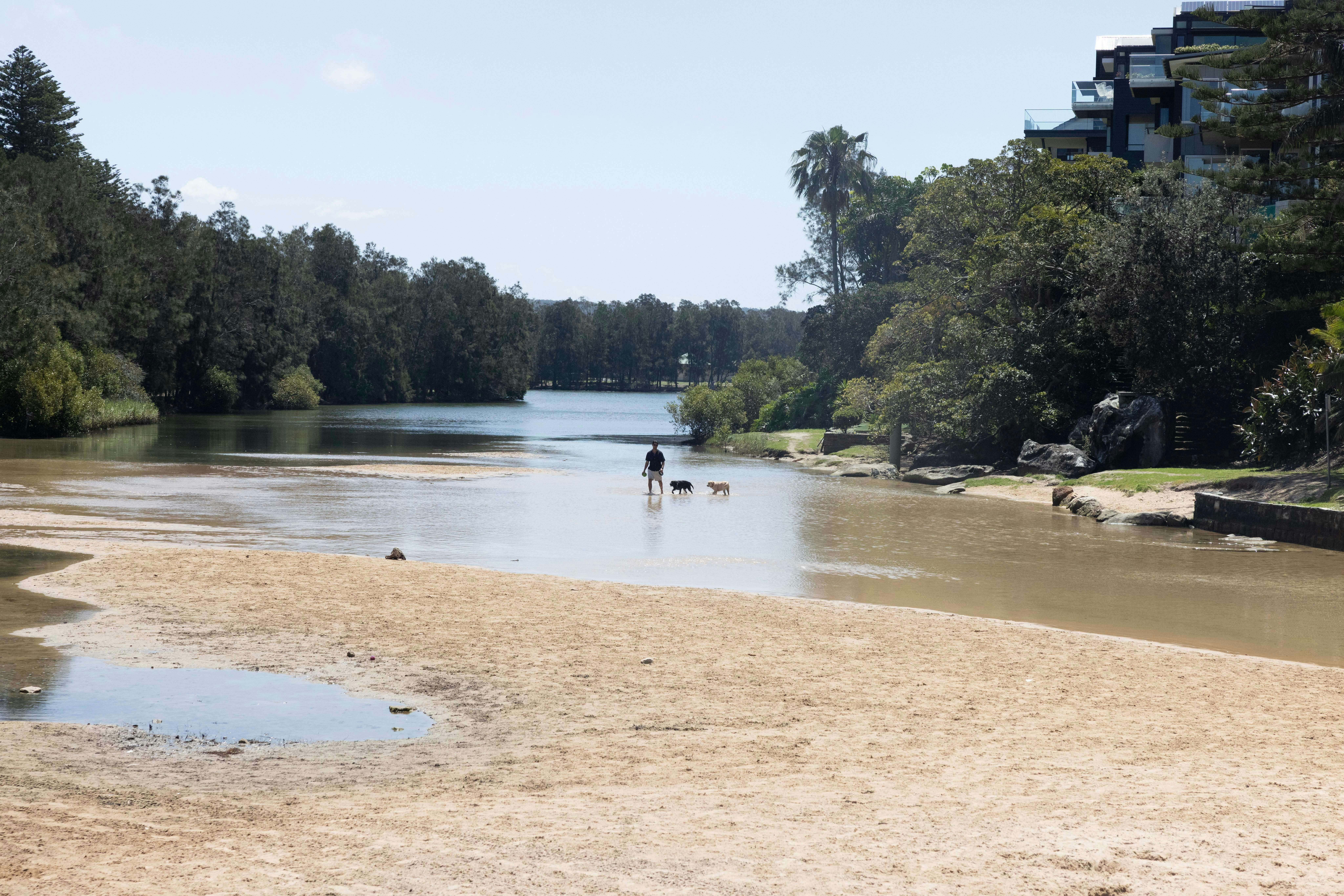 Man enjoying a day with his dog at Manly Lagoon in Manly