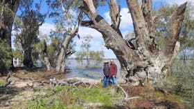 Yanga National Park - Lake Bushwalk