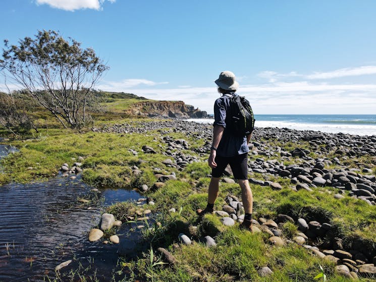 Escape Byron Half Day Guided Small Group Or Private Coastal Walk