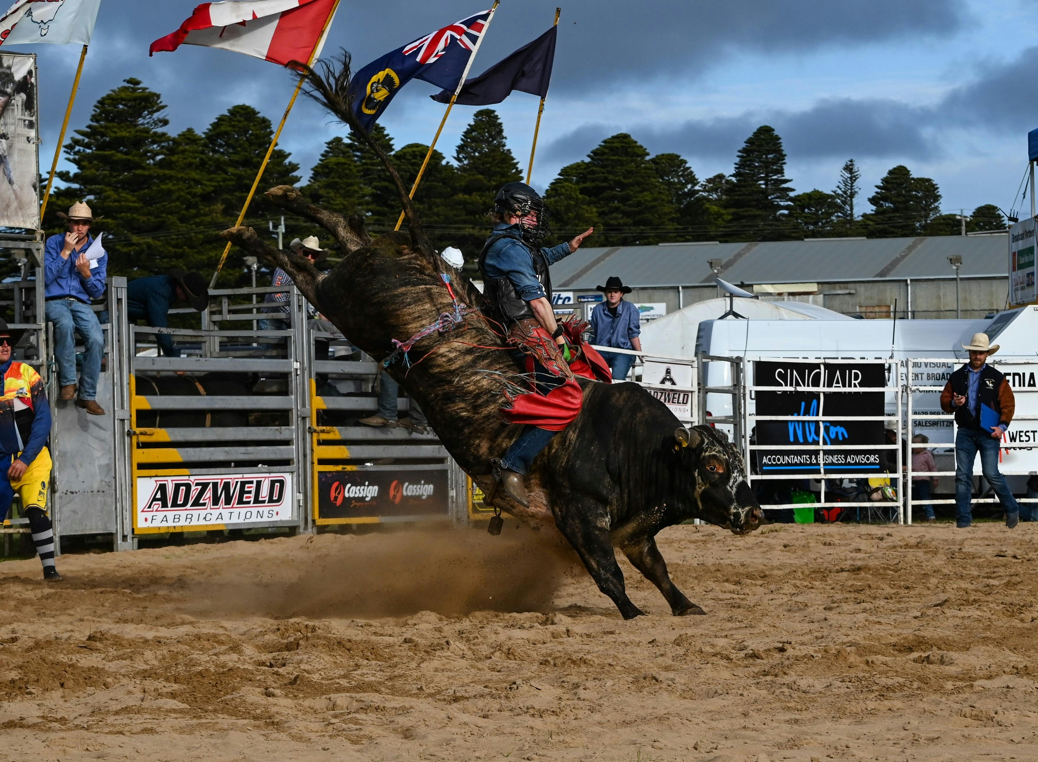 Warrnambool Rodeo - Bucking bull & cowboy