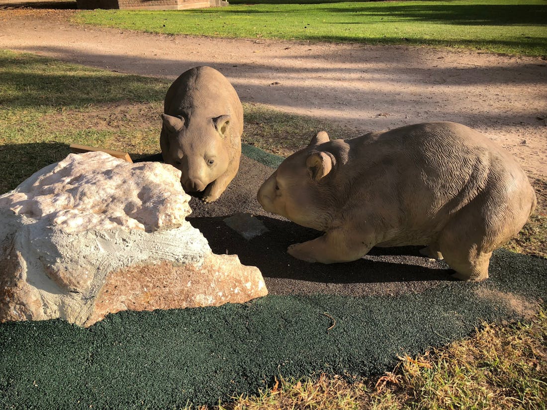 Wombat Statues, Moonta Moonta, Attraction South Australia